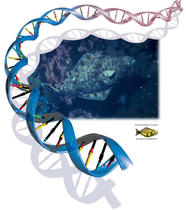 DNA image