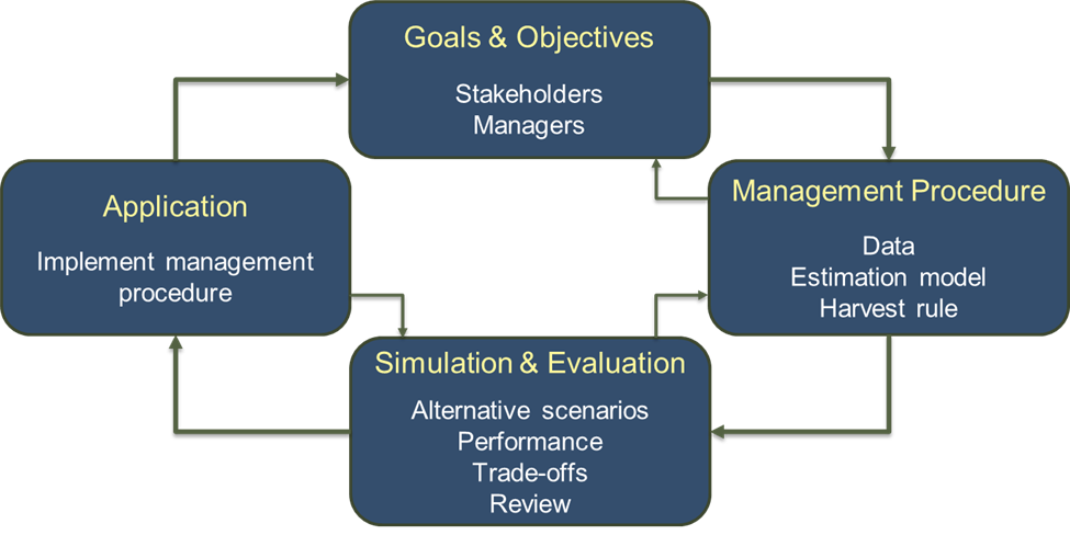 MSE process