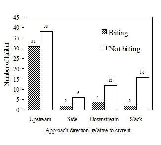 approach-directions-and-resultant-biting-action.jpg