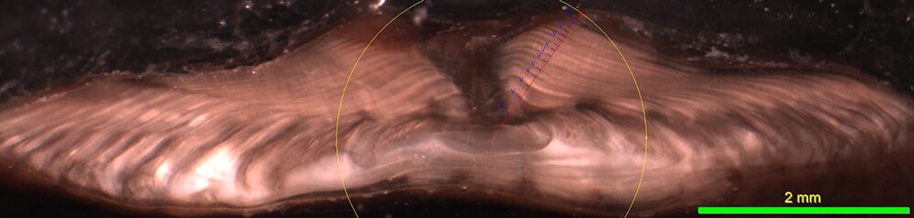 bes_page35_image1.jpg