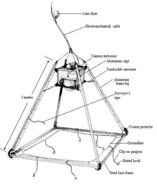 frame-for-deploying-underwater-camera.jpg