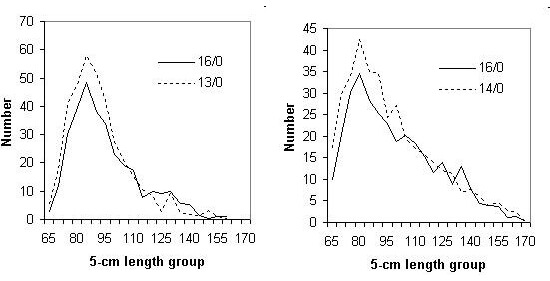 hook-size-studies.jpg