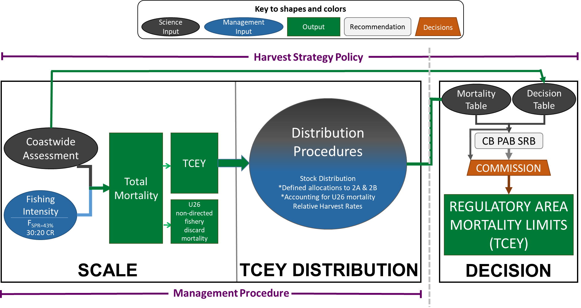 iphc-2020-mse-figure2.png