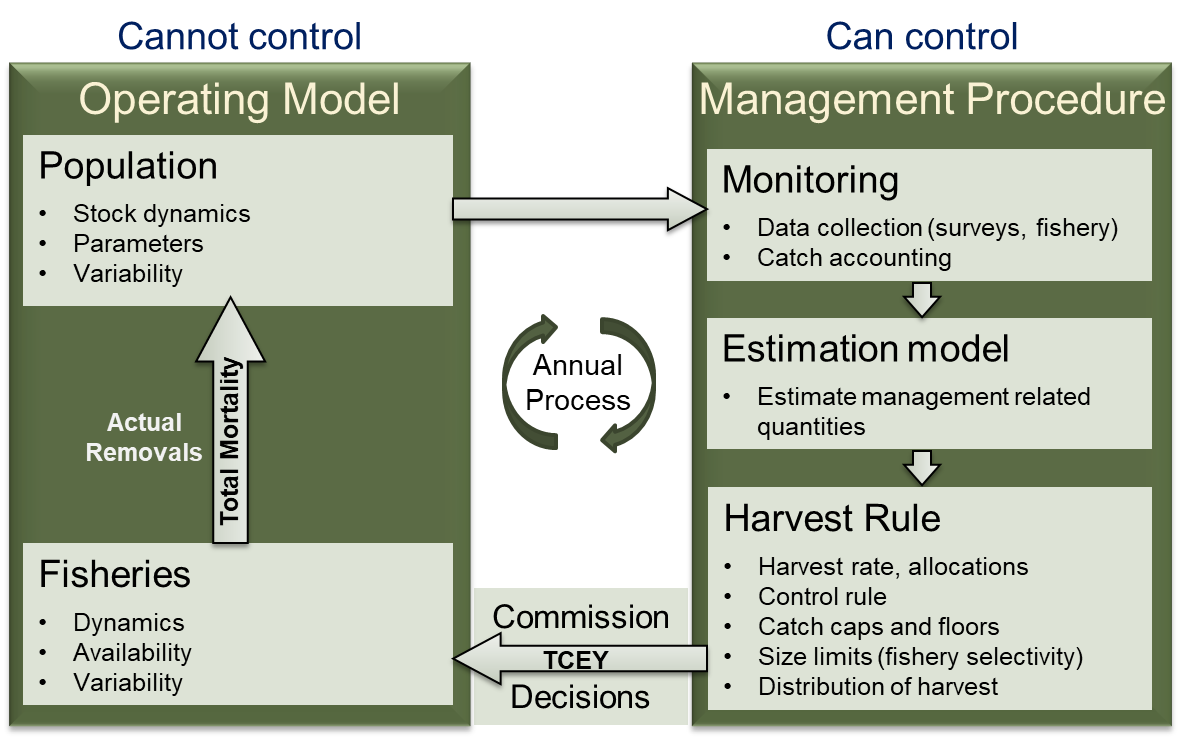 iphc-2020-mse-figure3.png