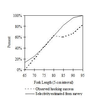 observed-hooking-success-1.jpg