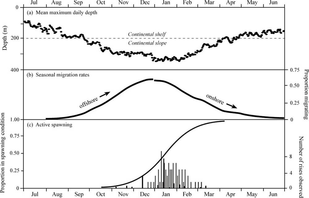 seasonalcomposite.jpg
